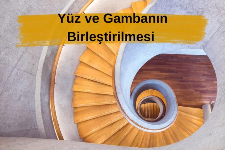 Yüz ve gamba Birleştirilme